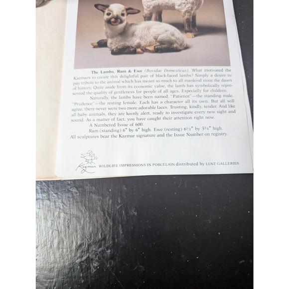 Kazmar Lambs Ram and Ewe set official certificate - Picture 9 of 10